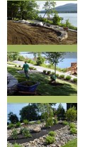 Albany Residential Landscaping 