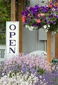 Flower Shops Albany